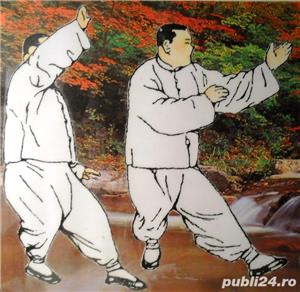 Taichi (Taijiquan), Pakua (Baguazhang), Qigong