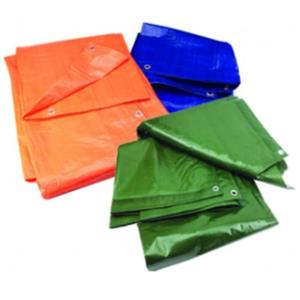 Prelata Tarp 15 lei  - imagine 2