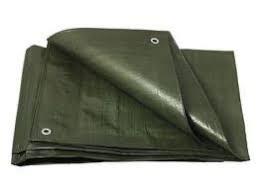 Prelata Tarp 15 lei  - imagine 3