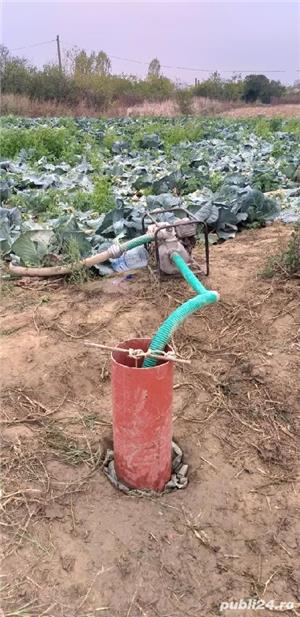 Executam puturi - imagine 2