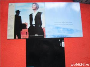 vinil Rainbirds ‎3 albume -Alternative Rock, Pop Rock - imagine 5