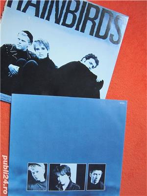 vinil Rainbirds ‎3 albume -Alternative Rock, Pop Rock - imagine 4