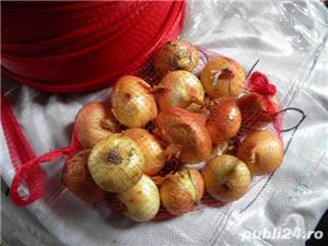 saci rafie 0,58 lei - imagine 5