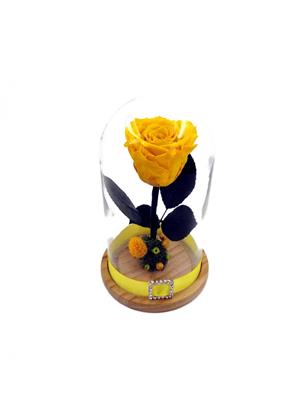 Trandafiri Criogenati BiaRose in cupola mica de sticla 25cm - imagine 5