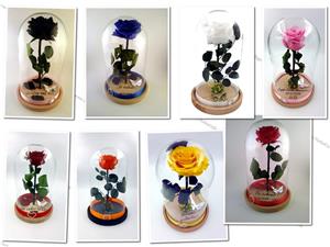 Trandafir Criogenat BiaRose 9cm in cupola mare de sticla inaltime 30cm - imagine 2