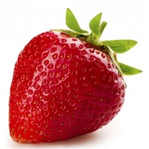 Stoloni Capsuni Gigant Si Alte Soiuri In Comentariu