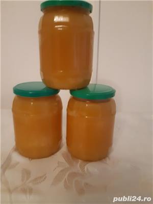 Miere de albine poliflora (floarea -soarelui și armurariu)  ,100% naturala  - imagine 5