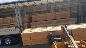 Cherestea Duglas - imagine 4