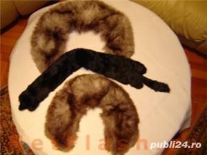 Accesorii blanuri femei, nurci canadiene maro si gulere, caciuli, etc - imagine 4