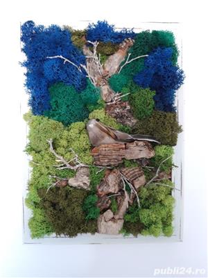 Tablou licheni stabilizati 'Vrabiuta' 33 x 27 cm