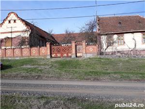 Casa batraneasca la 50km de Timisoara - imagine 2