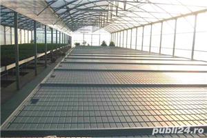 Mese de lucru pentru sere si solarii