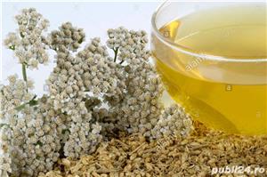  Coada soricelului vrac en-gros si en-detail