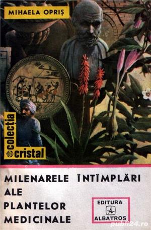 Milenarele întâmplări ale plantelor medicinale