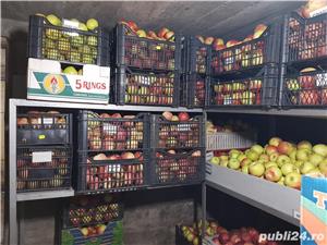 Vând țuică de prună sau din fructe (mere,pere) la minim 42 grade, vișinată+cireșată, vin streșinică - imagine 3