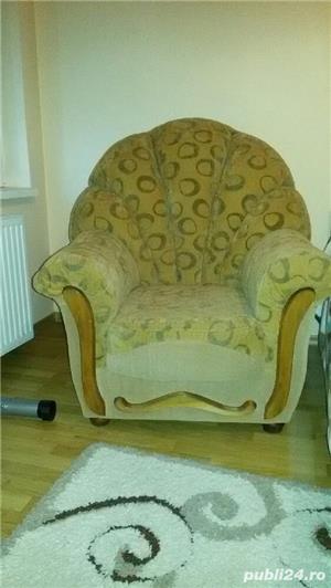 Fotolii tip scoica - imagine 3