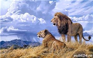 Tablou canvas cu poza ta