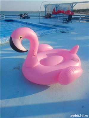Saltea Flamingo