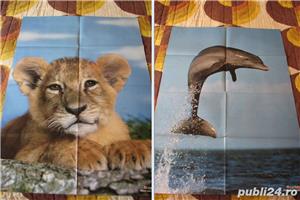 Postere animale - imagine 2