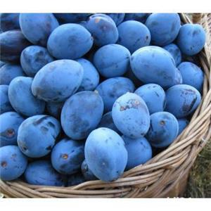 Tuica de prune sau de mere