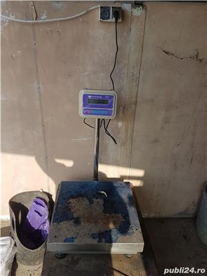 Fier vechi - imagine 5