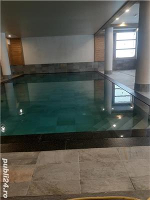 Faiantar profesional - imagine 3