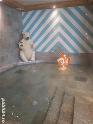 Faiantar profesional - imagine 5