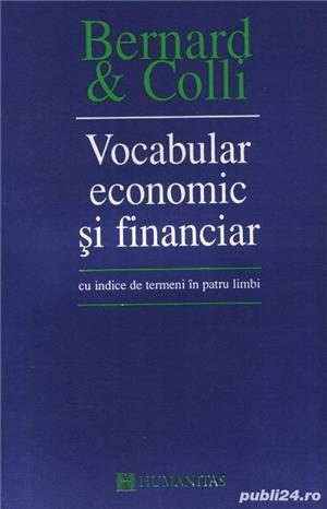 Vocabular economic şi financiar