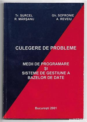 Culegere de probleme Medii de programare