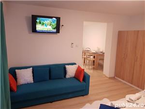 Georgiana Apartments in regim hotelier langa Iulius Town - imagine 7