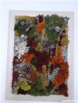 Tablou licheni naturali 'Fluturi' 25 x 35 cm