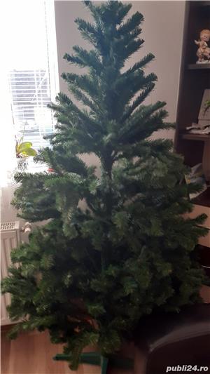 brad craciun - imagine 3