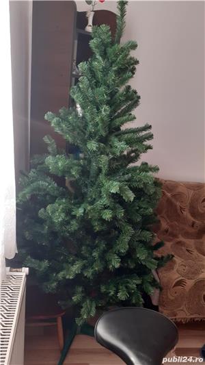 brad craciun - imagine 4