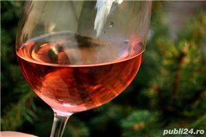 Vin de Dragasani Soiuri Nobile Cramposie 