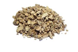 Obligeana radacina vrac en-gros si en-detail