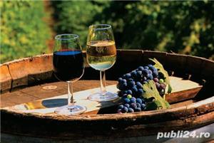 Vin de Dragasani - Soiuri Nobile - imagine 3