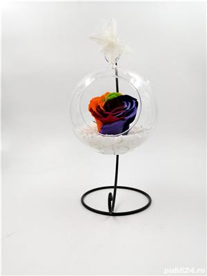 Trandafiri Criogenati BiaRose 6.5cm in bol de sticla pe pat de pietricele cu picior 23cm  - imagine 5