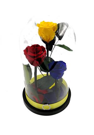 Aranjament 3 trandafiri criogenati BiaRose 6,5cm in cupola de sticla cu inaltimea de 28-30cm  - imagine 4
