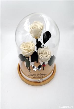 Aranjament 3 trandafiri criogenati BiaRose 6,5cm in cupola de sticla cu inaltimea de 28-30cm  - imagine 3