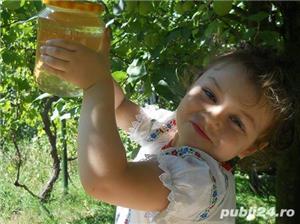 Miere de albine din  salcam si miere de albine din faneata .   