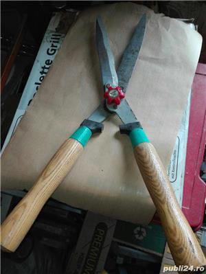 Foarfece gard viu - imagine 4