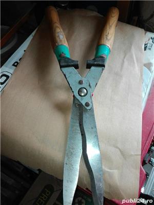 Foarfece gard viu - imagine 3