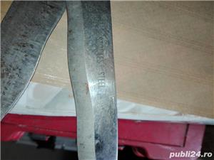 Foarfece gard viu - imagine 2