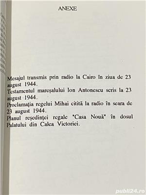 Amintiri si reflectiuni - Mircea Ionnitiu - imagine 4