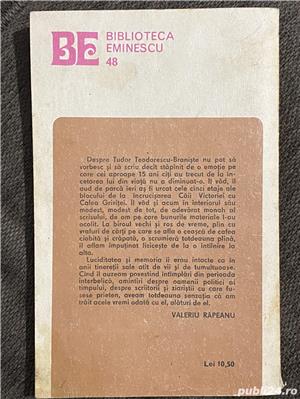 Printul - Tudor Teodorescu Braniste - imagine 2