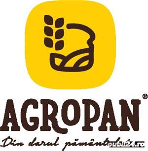 Angajam: manipulant marfuri brutarie