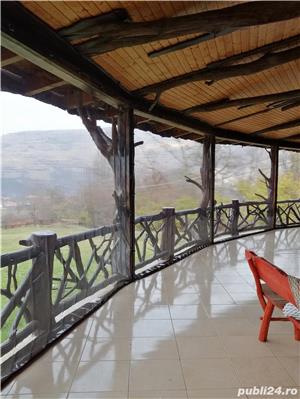 inchideri terase folie - imagine 3