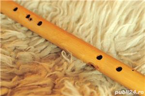 CAVAL calitate extra + husa GRATIS - imagine 2