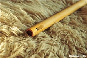 CAVAL calitate extra + husa GRATIS - imagine 3