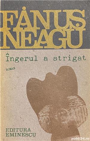Ingerul a strigat - Fanus Neagu